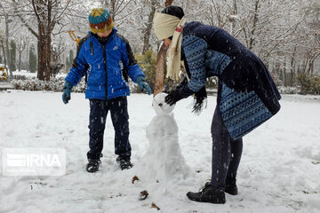 Snowy day in Iranian capital