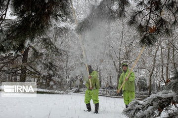 Snowy day in Iranian capital