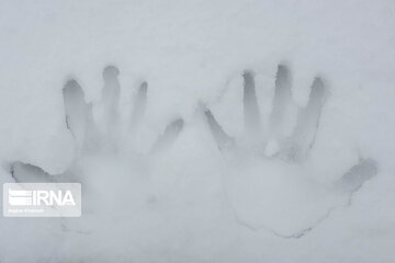 Snowy day in Iranian capital