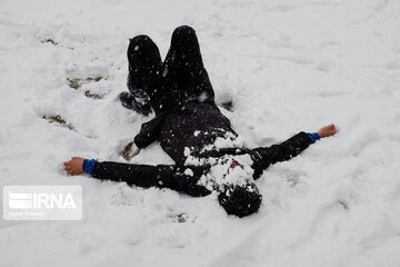 Snowy day in Iranian capital