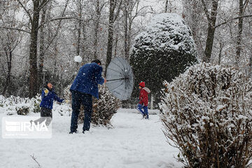 Snowy day in Iranian capital