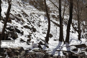 Semirom waterfal in winter; beautiful tourist attraction in Iran