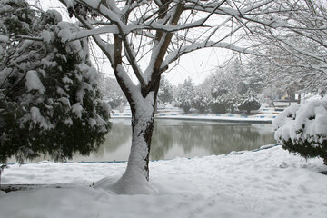 مناظر زمستانی تفرجگاه یئدی گوز نقده