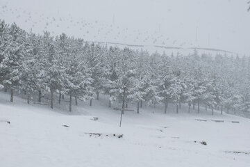 مناظر زمستانی تفرجگاه یئدی گوز نقده