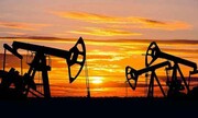 هند به دنبال کاهش وابستگی به نفت خاورمیانه 