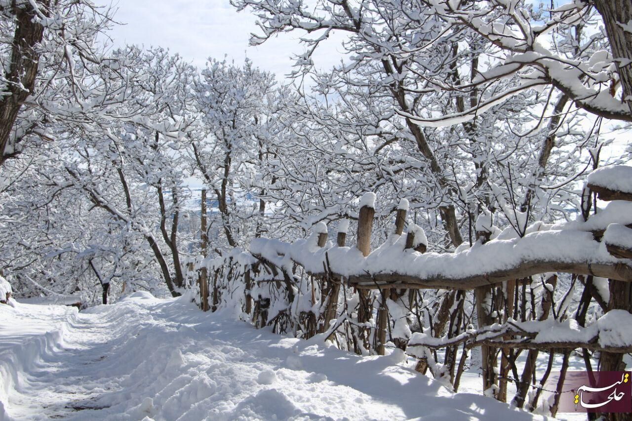 بارشهای چهارمحال و بختیاری 49 درصد کاهش دارد