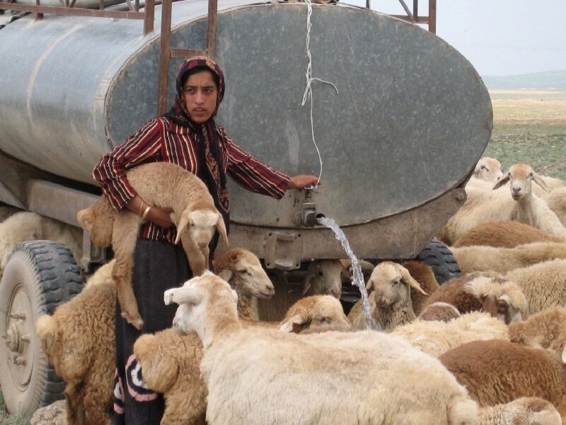 برخورداری عشایر خراسان‌ از آب سالم بیشتر از میانگین کشوری است