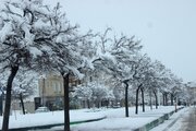 بارش برف باعث تعطیلی مدارس و لغو پروازها در ایلام شد 