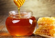 Iran ranks 3rd in producing honey in world