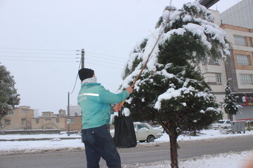 بارش برف در ایلام