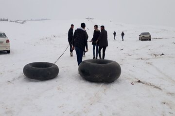 شادی و نشاط زمستانی مردم میاندوآب در ارتفاعات پارک جنگلی