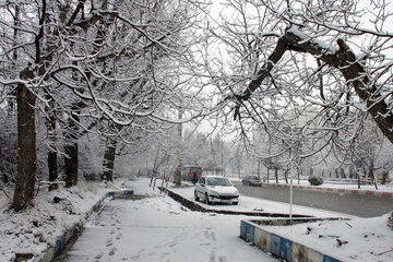 بارش برف در سه نقطه فارس، مدارس را غیرحضوری کرد