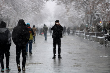 طراوت برف زمستانی در همدان