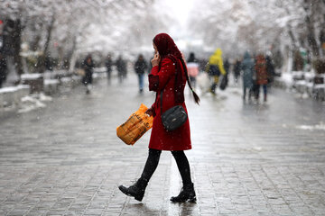 طراوت برف زمستانی در همدان