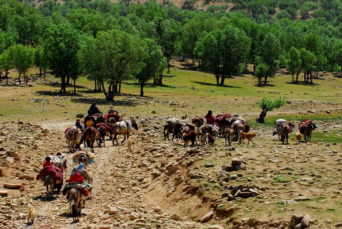 حرکت پُرشتاب دولت در مسیر توسعه ایل‌راه‌های فارس؛ مرمت ۱۱هزار کیلومتر در ۲سال گذشته