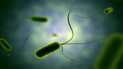 نانوذرات لبه تیز باکتری‌های مقاوم در برابر آنتی‌بیوتیک را از بین می‌برد