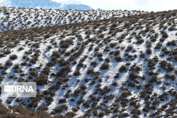 Beautiful Iran in Winter