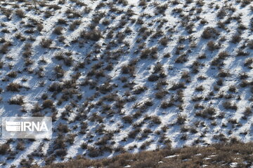 Beautiful Iran in Winter