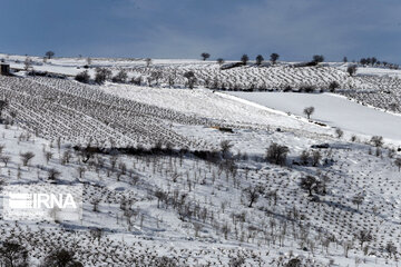 Beautiful Iran in Winter