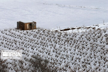 Beautiful Iran in Winter