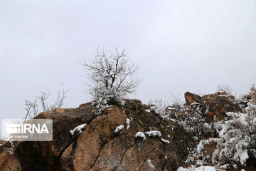 Beautiful Iran in Winter