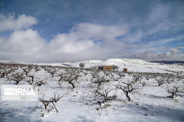 Beautiful Iran in Winter