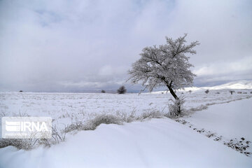 Beautiful Iran in Winter