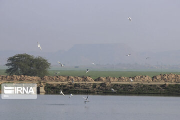 Southwest Iran, ideal place for migratory birds