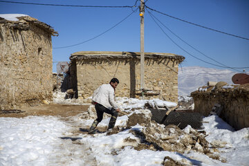 امدادرسانی به روستای آرندی پس از زلزله