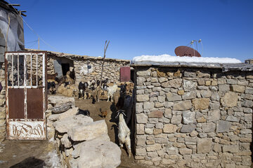 امدادرسانی به روستای آرندی پس از زلزله