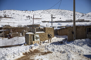 امدادرسانی به روستای آرندی پس از زلزله