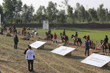 برگزاری مسابقات کشوری هنرهای رزمی سوار کاره در شوشتر