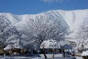 برف، کولاک و سرما در راه کردستان