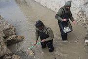نجات بیش از ۲ هزار قطعه ماهی از بند خاکی بجنورد