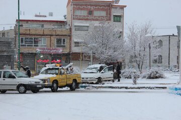  برف و سرما استان اردبیل را فراگرفت 