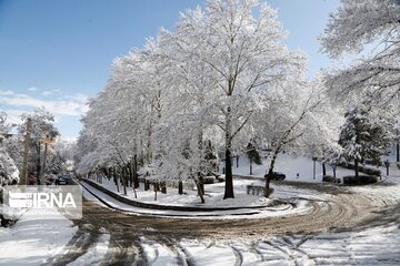 Snowy day in Western Iran