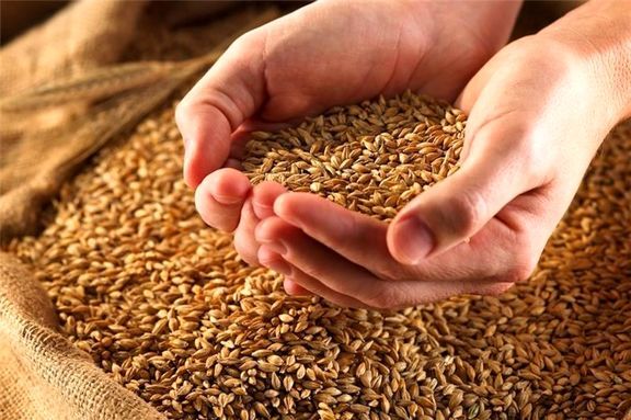 بوشهری‌ها 100میلیارد ریال زکات پرداخت کردند
