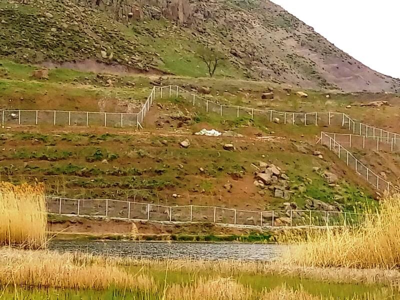 یک هزار و ۲۰۰ هکتار از اراضی ملی استان همدان رفع تصرف شد