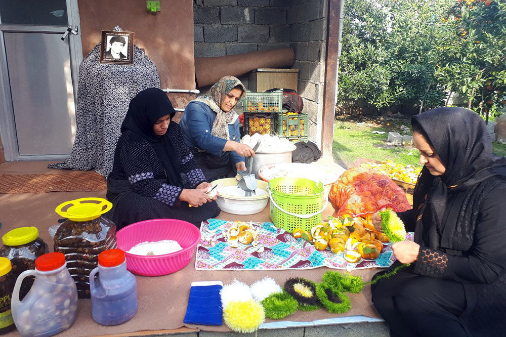22 صندوق خرد زنان کردستان تسهیلات قرض الحسنه دریافت کردند