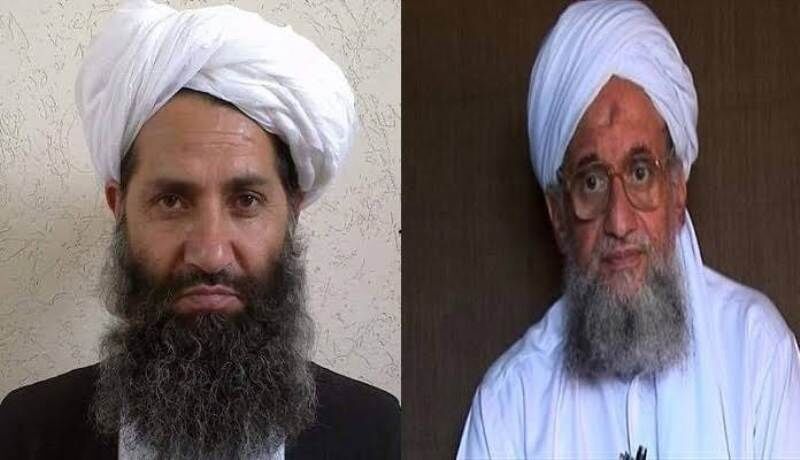 سایه روابط طالبان و القاعده بر گفت وگوهای صلح افغانستان ایرنا