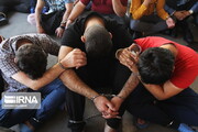 ۵ سارق حرفه‌ای خودرو و احشام در میاندوآب دستگیر شدند