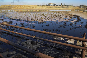 صفیره، در محاصره آلودگی های نفتی