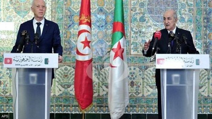 الجزایر خواستار بیرون راندن نیروهای خارجی از لیبی شد