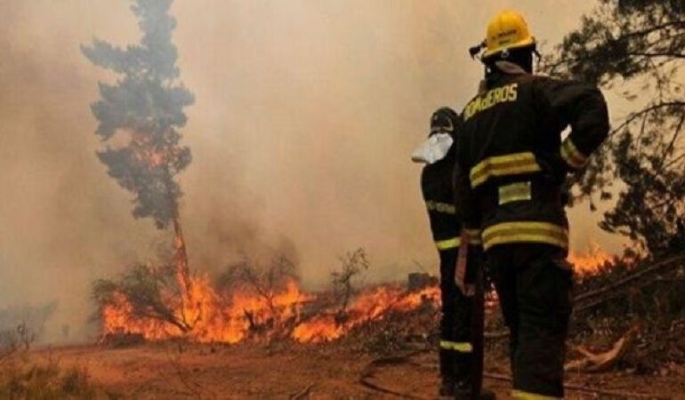 اعلام وضعیت قرمز در دو منطقه شیلی به دنبال آتش‌سوزی جنگلی