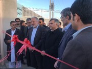 کارخانه هزار و ۳۰۰ تنی بسته‌بندی خرما در سراوان افتتاح شد