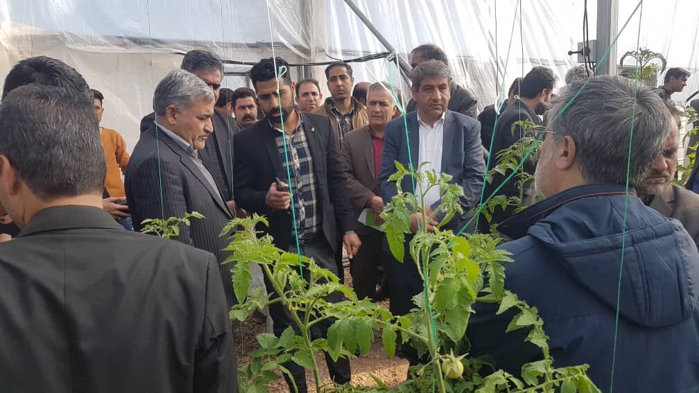 ۱۳۵طرح آبخیزداری و گلخانه ای در کرمان مورد بهره داری قرار گرفت 