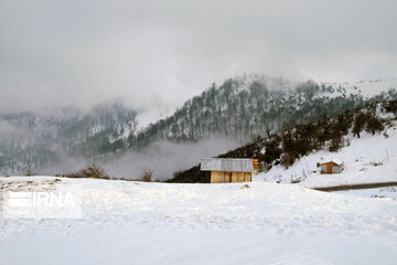 Iran's Hyrcanian forests in Winter