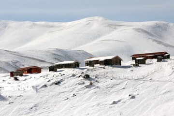 Iran's Hyrcanian forests in Winter