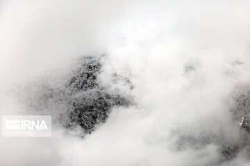 Iran's Hyrcanian forests in Winter