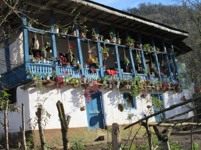 فرماندار تالش: اقامتگاه‌ها خالی از مسافران نوروزی است